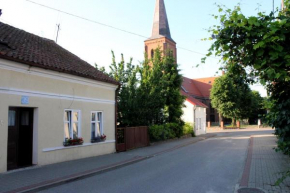 dogodny